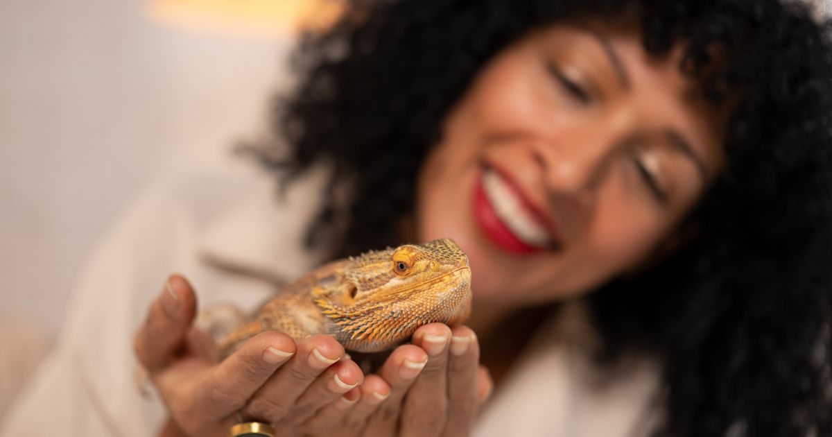 Bearded Dragon Health Issues Emily s Dragon Doodles bearded-dragon-health-issues-emily-s-dragon-doodles